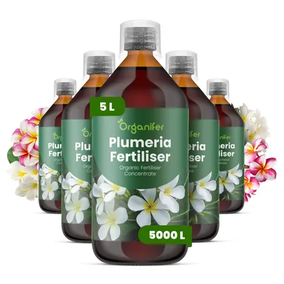Obrázok produktu pre Frangipani, tekuté hnojivo, 5 x 1 liter – vzorec NPK 3-4-3 – vhodné pre rastliny Plumeria – podporuje dlhodobé kvitnutie a vitalitu – organické