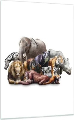 Produktbild von Bilder auf glas - Einteilig - Tiere Koala Löwe Affe - 70x100cm - Glasbilder - Wandbilder - Bilder - zum Aufhängen bereit - Wanddekoration aus Glas - Glas Bilder - Wandbild auf Glas - GPA70x100-3166