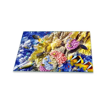 Produktbild von Herdabdeckplatte Glaskeramik 1 Teilig 80x52 Meer Bunt Abdeckung Glas Spritzschutz Deko