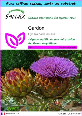 Image de SAFLAX Ensemble-cadeau - Cardon - 50 graines - Cynara