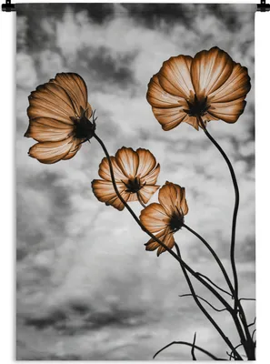 Produktbild von MuchoWow® Wandteppich Wandbehang Blumen - Braun - Schwarz - Weiß 120x180 cm Tapisserie Dekoration Wandtuch - Schlafzimmer - Dekorationen für das Haus