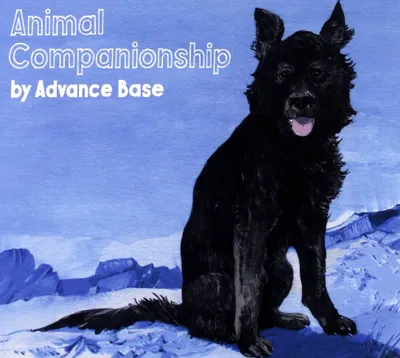Obrázek produktu pro ImportCDs Animal Companionship, Pop rock, CD, Fyzické médium, Dospělý, 1 disky, 04/10/2018