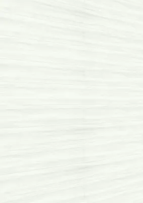 Produktbild von MEISTER Dekorpaneele MeisterPaneele. tertio DP 200 2600 x 200 x 9,5 mm 20106 White wood