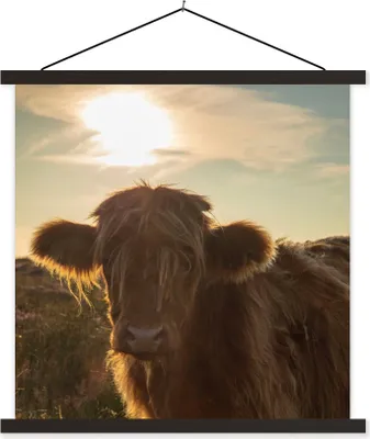 Produktbild von MuchoWow® Textilposter Schottisches Hochlandrind - Sonnenuntergang - Gras 60x60 cm mit schwarzem Rahmen - Posteraufhänger