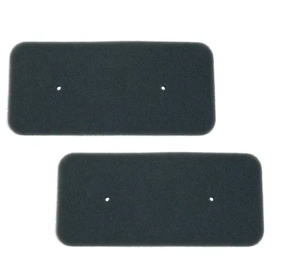 Immagine prodotto di 2x filtro adatto per Hoover Candy 40006731 Casa asciugatrice a Ostein filtro spugna