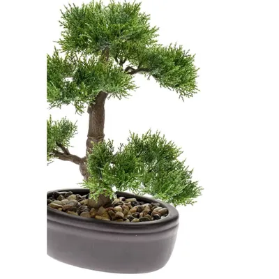 Produktbild von Emerald Kunstpflanze Bonsai Zeder Grün 32 cm 420001