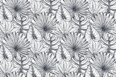Produktbild von Muralo Fototapete 315 x 210 cm Vlies Tapete Wandtapeten moderne Wandbilder XXL Wald Dschungel Monstera Palmen