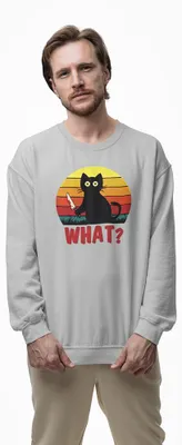 Produktbild von D&B Design Uni Pullover SWEB00006 What HellGrau-Größe 2XL
