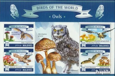 Produktbild von Briefmarken Malediven 2015 Mi 5825-5828 Kleinbogen (kompl. Ausg.) postfrisch Eulen