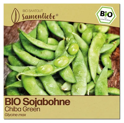 Produktbild von Samenliebe  Bohne Samen | Chiba Green - samenfestes  Saatgut