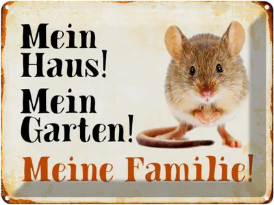 Produktbild von vianmo Blechschild 30x40 cm Tiere Maus mein Haus Garten Familie Tier Haustier