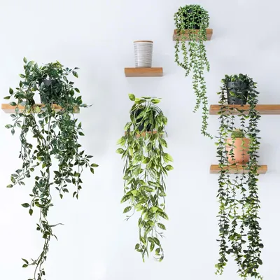 Imagen del producto de Cuatro plantas colgantes artificiales con macetas, color verde, para interior y exterior, decoración