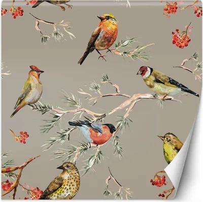 Produktbild von Vlies fototapete Bunte Vögel 150x150 cm Feeby Bunt inkl. Kleber einfache Montage