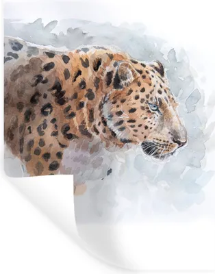 Produktbild von MuchoWow® Wandtattoo Wandsticker Wandaufkleber Leopard - Aquarell - Tiere 60x90 cm Selbstklebend und Repositionierbar - Sticker - Dekorfolie