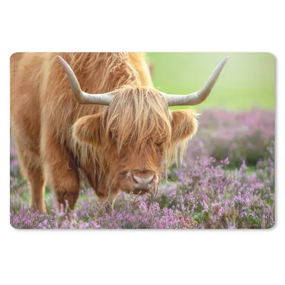 Produktbild von MuchoWow® Schreibtischunterlage Schottischer Highlander - Lila - Blumen 60x40 cm - XXL Mauspad - Großes Mauspad