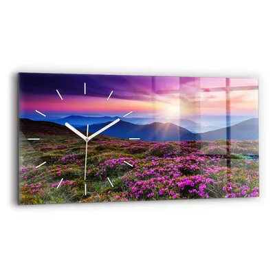Produktbild von Wallfluent Wanduhr – Stilles Quarzuhrwerk - Uhr Dekoration Wohnzimmer Schlafzimmer Küche - Zifferblatt mit Strichen - weiße Zeiger - 60x30 cm - Sonnenaufgangblumen
