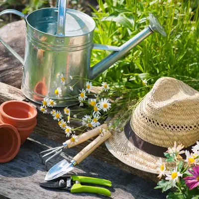 Produktbild von 20 Servietten Gardencraft - Alles aus dem Garten 33x33cm