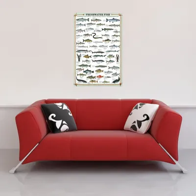 Produktbild von Educational - Bildung - Poster - Freshwater Fish + 1 Packung tesa Powerstrips® - Inhalt 20 Stück