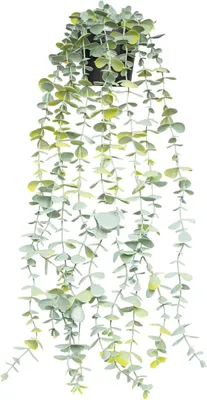 Produktbild von Künstliche Pflanze, hängender Eukalyptus 55 cm, mit Topf, für Wohnzimmer