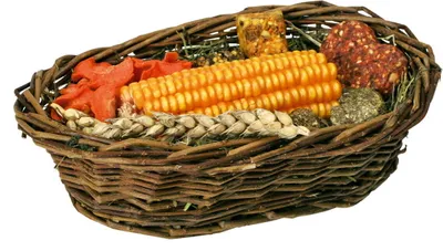 Zdjęcie produktu dla Jr Farm Vegetable Basket - Dla wszystkich papug 150G