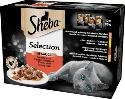 A box of Sheba cat food selection in sauce, featuring a cat and a serving of food.