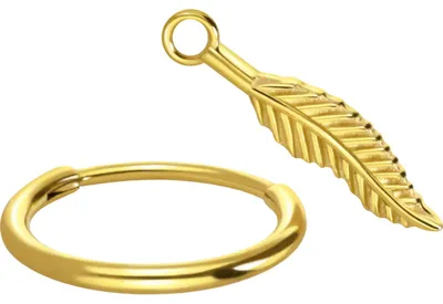 Produktbild von Chirurgenstahl Ohrclicker Creolen FEDER Gold Innendurchmesser: 8 mm