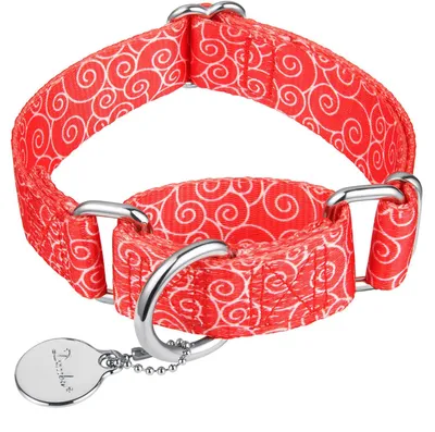 Zdjęcie produktu dla Obroże Martingale dla psów marki Dazzber, zapobiegające szarpania, antyucieczkowe, wysokiej jakości
