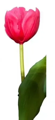 Produktbild von 6x Tulpen künstlich mini L19cm Real Touch Kunstblumen pink Frühling Deko