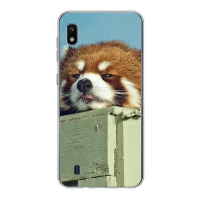 Produktbild von MuchoWow® Handyhülle Schutzhülle Hülle für Samsung Galaxy A10 Panda - Holz - Rot Silikon Softcase Handy Hülle - Schutzhülle