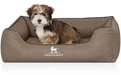 Produktbild von Knuffelwuff Orthopädisches Hundebett Columbia aus laser-gestepptem Kunstleder M-L 85 x 63cm Stone