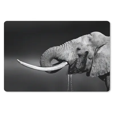 Produktbild von MuchoWow® Mauspad Mousepad Elefant - Wasser - Tiere - Schwarz - Weiß 27x18 cm - Mousepads - Maus Mat - Pad - Mausunterlage - Büroartikel - Desk Matten