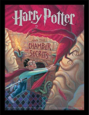 Obrázok produktu pre Harry Potter - zarámovaný plagát "Tajomná komnata" PM10763 (40 cm x 30 cm) (farebný)