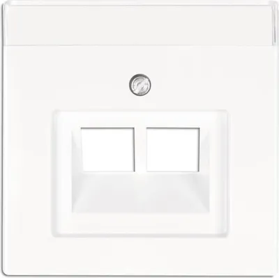 A white wall plate with two openings for network jacks.