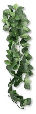 Produktbild von Repti-Zoo hängende tropische Pflanze 40cm