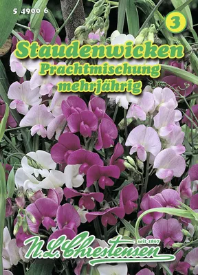 Produktbild von Staudenwicke PrachtMischung | Wickensamen von N.L. Chrestensen