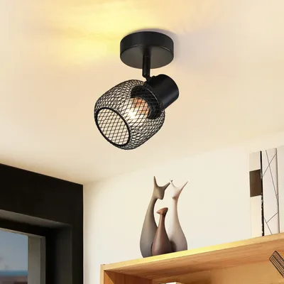 A black metal ceiling spotlight with a mesh shade is mounted on a white ceiling. Below the spotlight, on a wooden shelf, are three decorative ceramic figures.