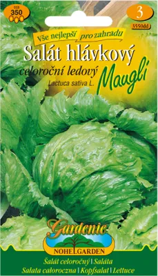 Immagine prodotto di Lattuga iceberg MAUGLI