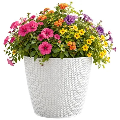 Produktbild von Prosperplast Pflanzentopf - perlweis - Kunststoff - D22 x 19 cm
