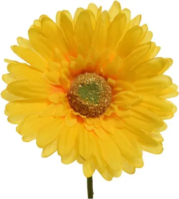 Produktbild von Kunstblumen Gerbera 50cm gelb, 1 Stück
