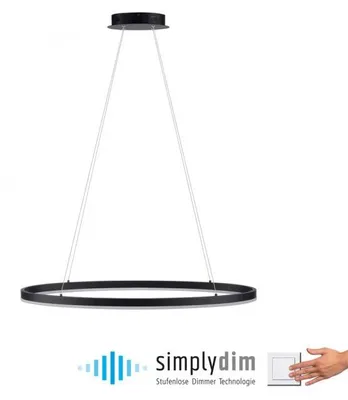 Immagine prodotto di PAUL NEUHAUS Lampada a sospensione LED 2392-13 antracite, 38 W, 5150 lm, 3000 K