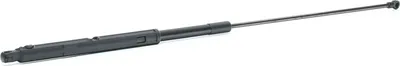 Image de Ressort à gaz du couvercle du moteur STABILUS 610886