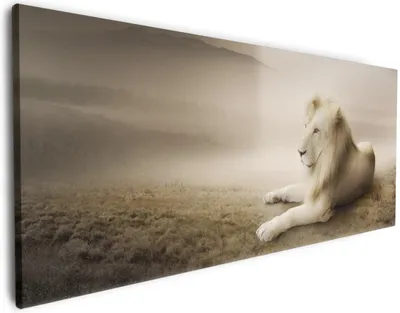 Produktbild von Wallario Premium Leinwandbild Stattlicher ruhender Löwe in Afrika in Sepiafarben in Größe 60 x 150 cm