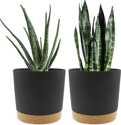 Image de Famanu : Jardinières en pot de 20,5 cm, couleur gris foncé, design moderne et décoratif