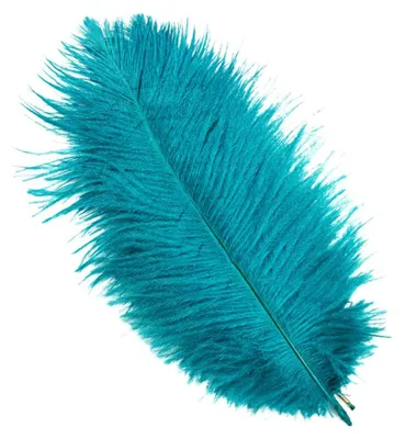 10 Straußenfedern, 30-35 cm, Pfauenblau, Bastelfedern für DIY