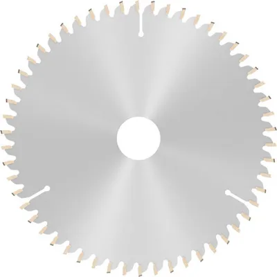 Image de Lame de scie circulaire PRO Multi Material, 190 x 2,4 x 30 mm