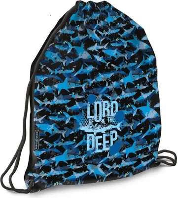 Obrázek produktu pro Sportovní taška Ars Una Lord of the Deep (5337) 24