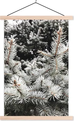 Produktbild von MuchoWow® Textilposter Winter - Baum - Äste 60x90 cm mit holzfarbenen Rahmen - Textil