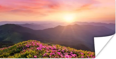 Produktbild von MuchoWow® Poster Blumen - Berg - Sonnenuntergang - Landschaft 40x20 cm - Poster für die Wand - Poster Schlafzimmer