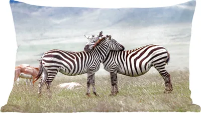 Produktbild von MuchoWow® Zierkissen Sofakissen Wohnzimmer Dekokissen 50x30 cm Zebras - Gras - Schwarz - Weiß - Wohnzimmerdekoration - Polster mit Photo