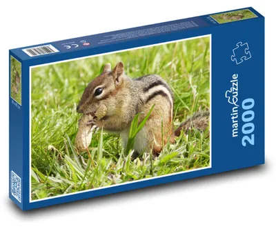 Obrázok produktu pre martinpuzzle - Puzzle 2000 - Vevericka - Arašid